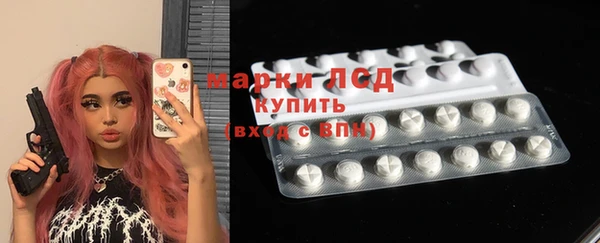 индика Чегем