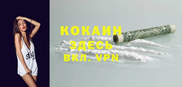 соль ск Дмитровск