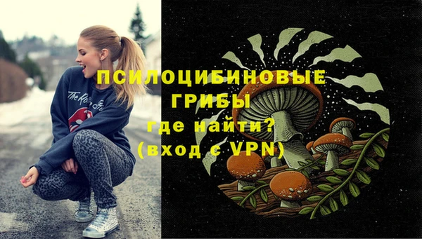 синтетический гашиш Гусиноозёрск