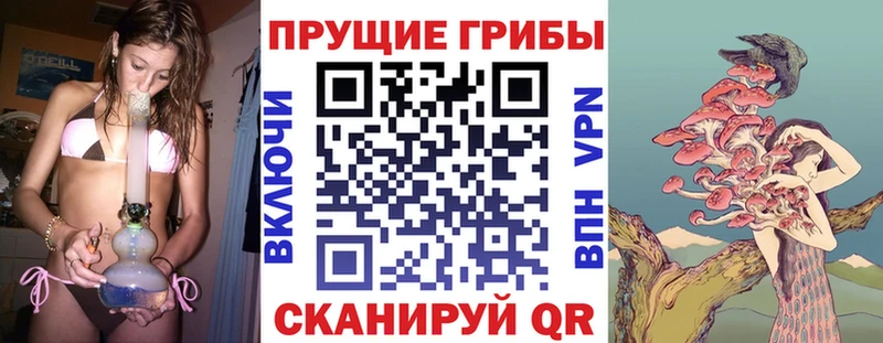 Псилоцибиновые грибы мицелий Салехард